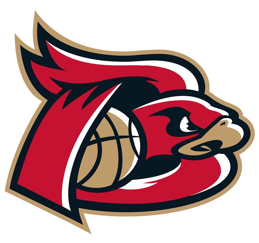 Erie BayHawks 2019-Pres Alternate Logo iron on heat transfer